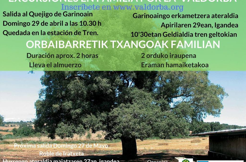 Excursión en Familia por la Valdorba: salida al quejigo de Garínoain