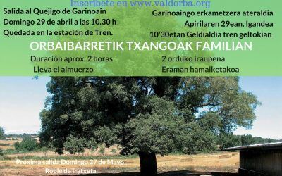 Excursión en Familia por la Valdorba: salida al quejigo de Garínoain