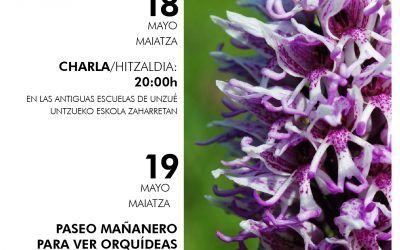 Orquídeas de la Valdorba/Orbaibar
