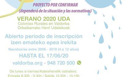 Formulario de evaluación de la demanda de las colonias de Verano 2020