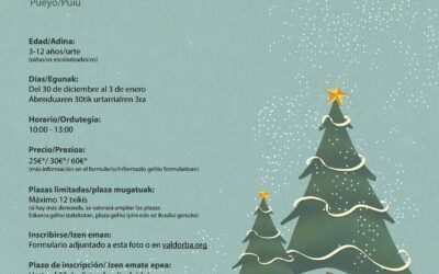 Colonias de Invierno/Navideñas  – Neguko/Eguberriko udalekuak